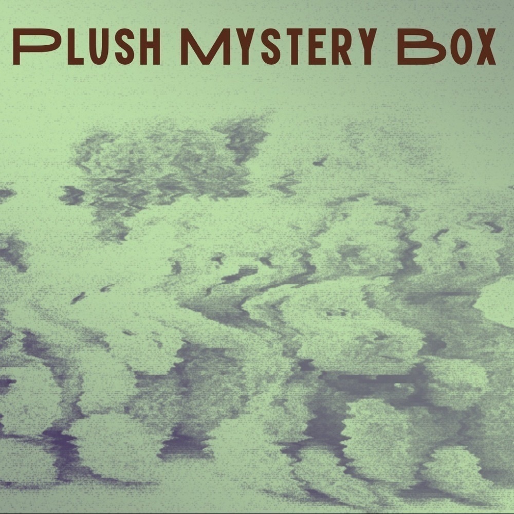 Plush Stuffed Animal Holiday Christmas Winter Mystery Box